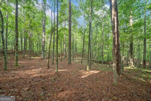 $4,300,000 | 0 Brock Trail, Unit 3 4 5, Milton, GA 30004