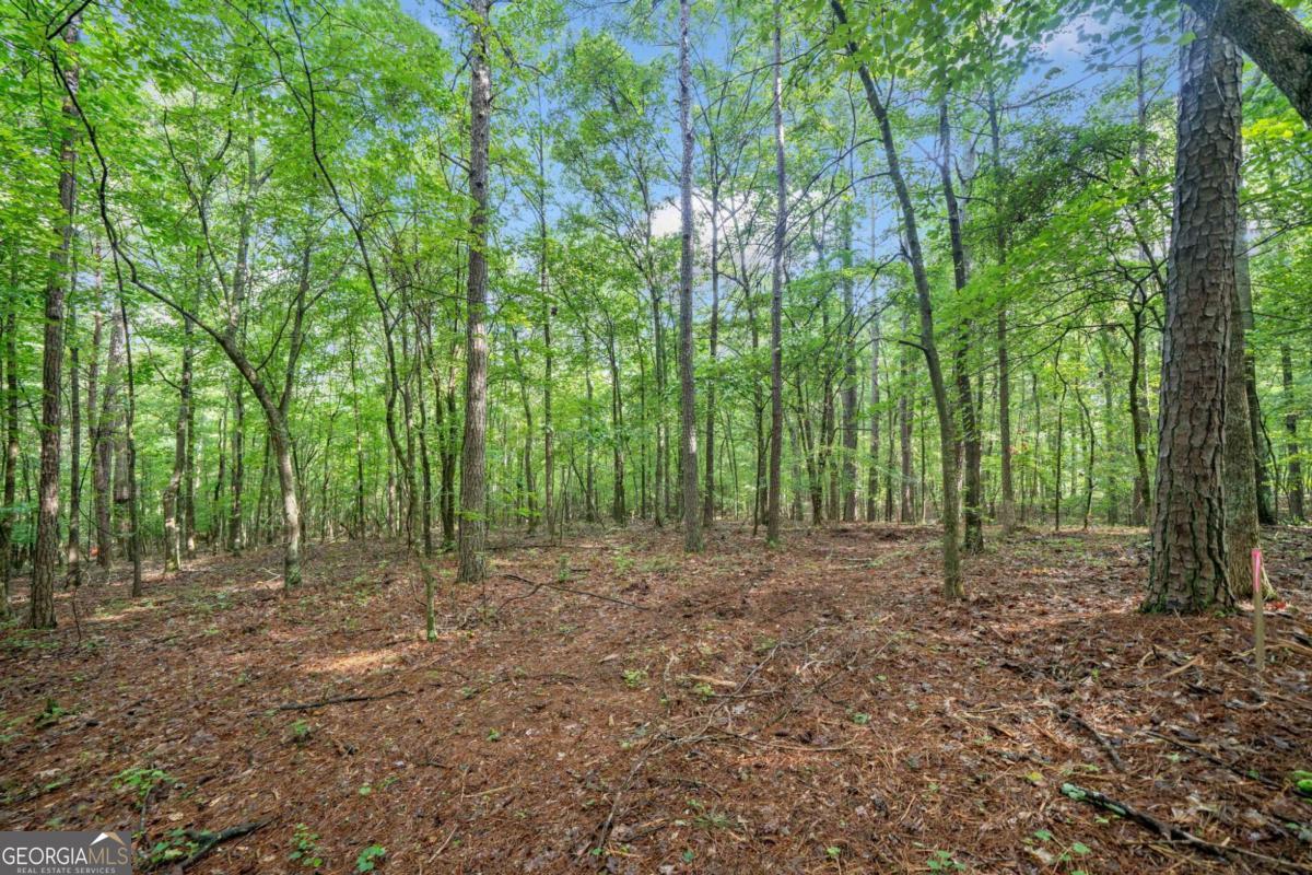 0 Brock Trail, Unit 3 4 5 Milton, GA 30004 - Photo 17 of 30