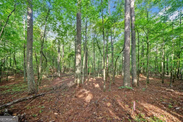 $4,300,000 | 0 Brock Trail, Unit 3 4 5, Milton, GA 30004