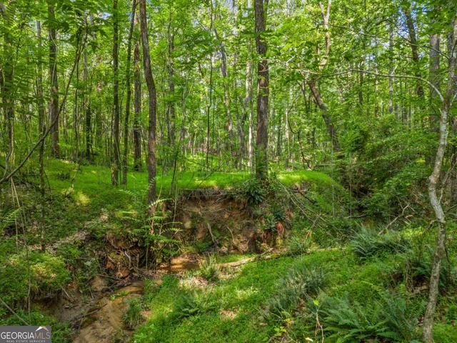 $4,300,000 | 0 Brock Trail, Unit 3 4 5, Milton, GA 30004