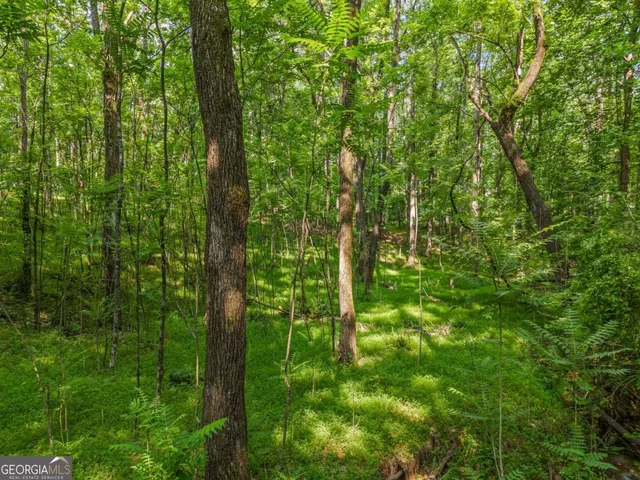 $4,300,000 | 0 Brock Trail, Unit 3 4 5, Milton, GA 30004