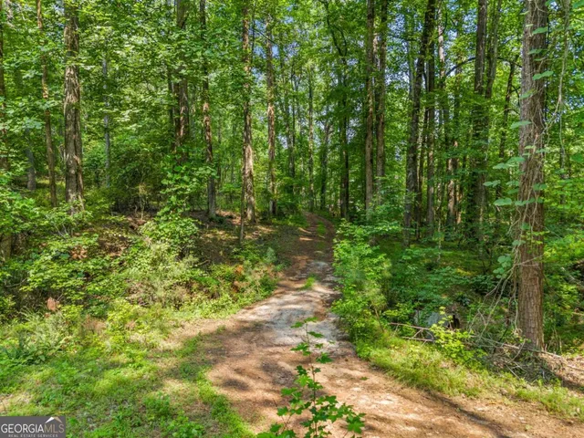$4,300,000 | 0 Brock Trail, Unit 3 4 5, Milton, GA 30004