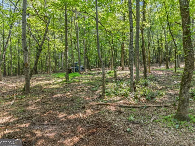 $4,300,000 | 0 Brock Trail, Unit 3 4 5, Milton, GA 30004