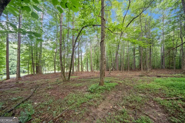 $4,300,000 | 0 Brock Trail, Unit 3 4 5, Milton, GA 30004