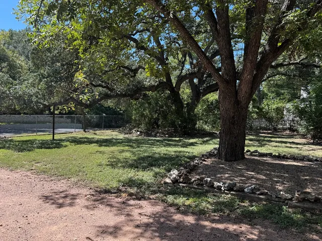 a view of a yard with a tree