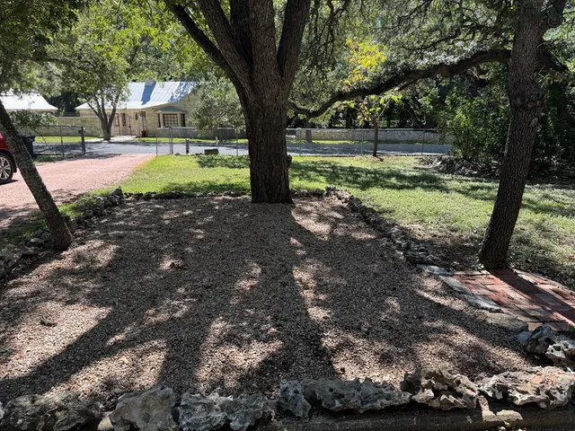 a view of a yard with plants and trees