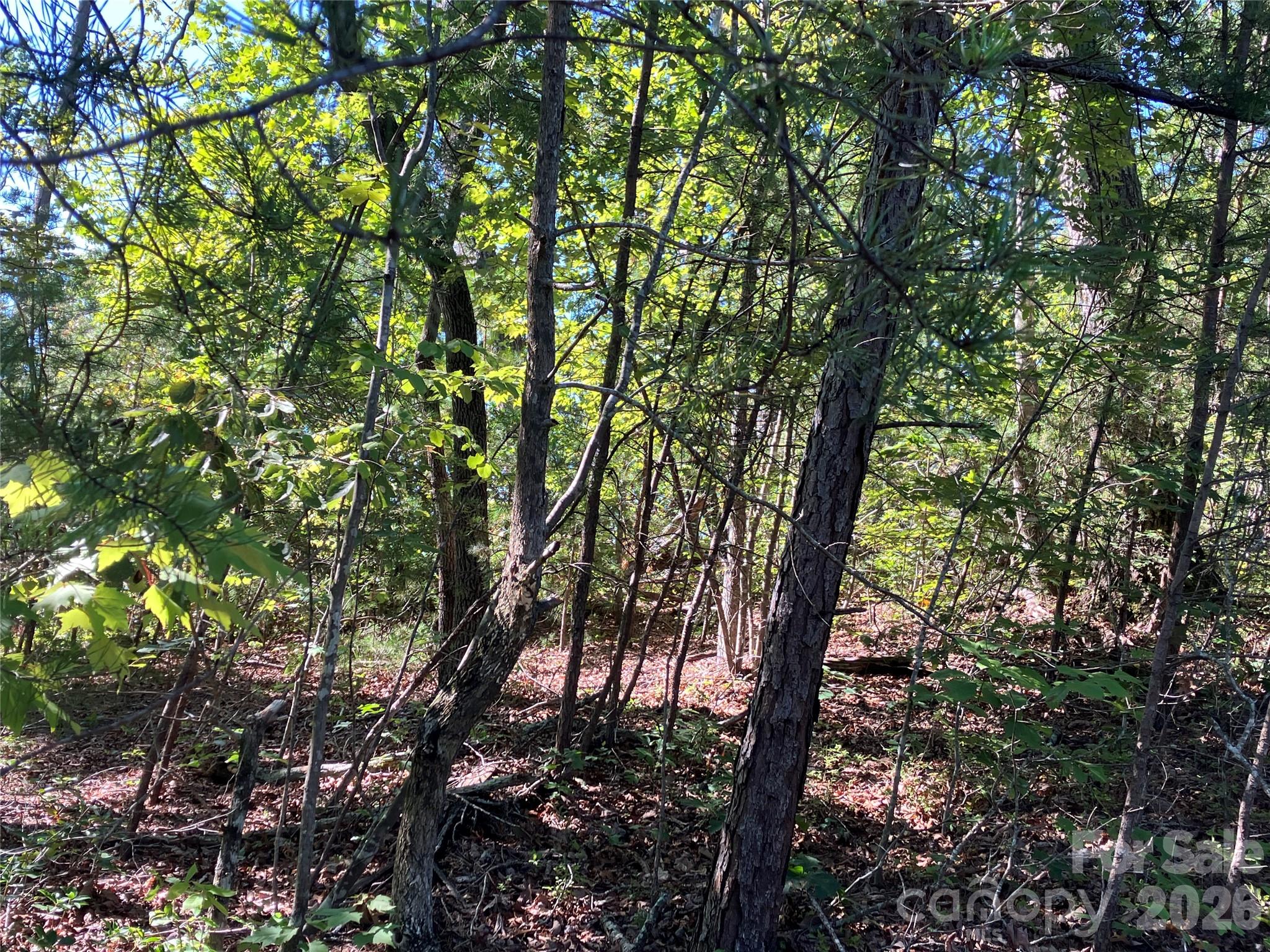 0 Tyler Terrace, Unit LOT 11 Rutherfordton, NC 28139 - Photo 15 of 17 Gallery Image 15