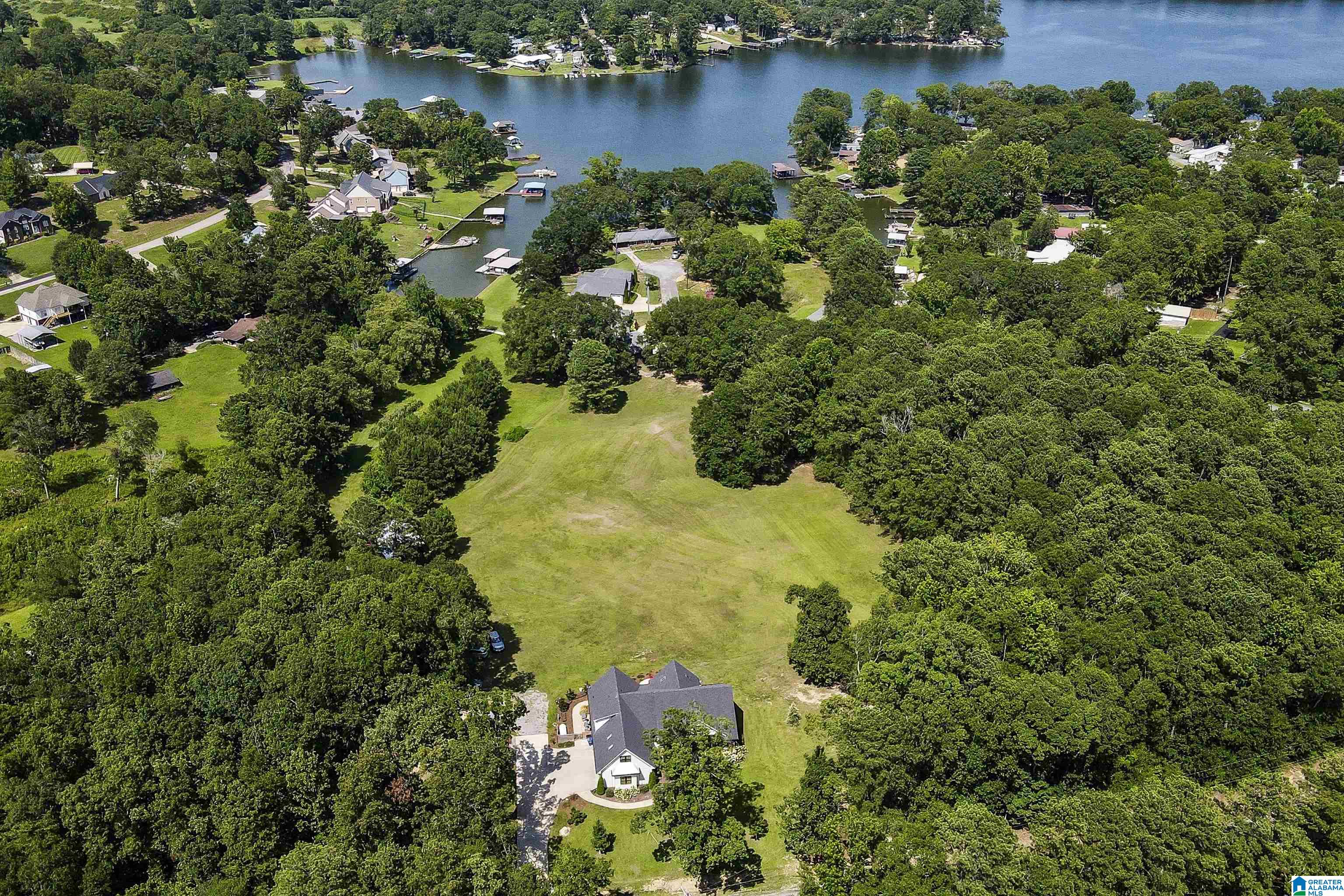 435 Treasure Island Road Cropwell, AL 35054 - Photo 2 of 78