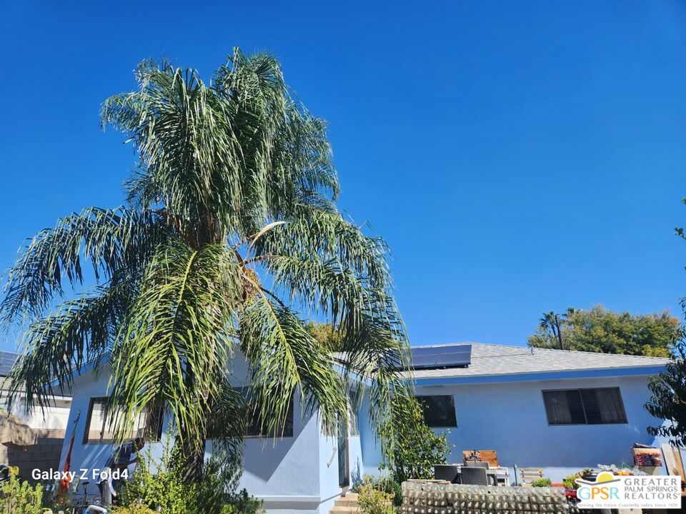 1385 Palm Avenue Beaumont, CA 92223 - Photo 11 of 13 a view of a house with a palm tree
