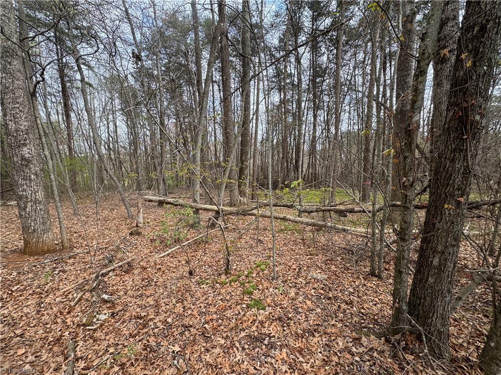 0 Brims Grove Road Pinnacle, NC 27043 - Photo 7 of 10