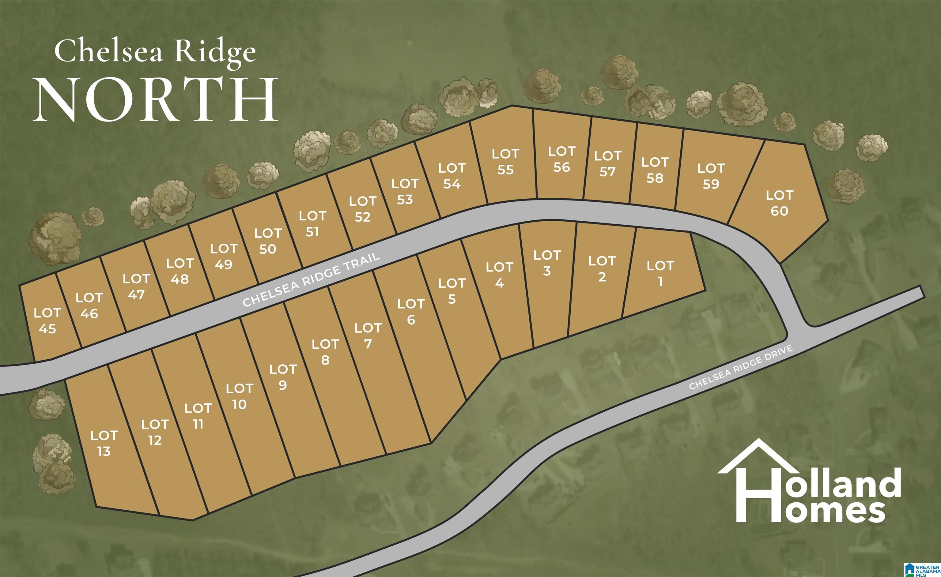 4047 Chelsea Ridge Trail Columbiana, AL 35051 - Photo 5 of 64
