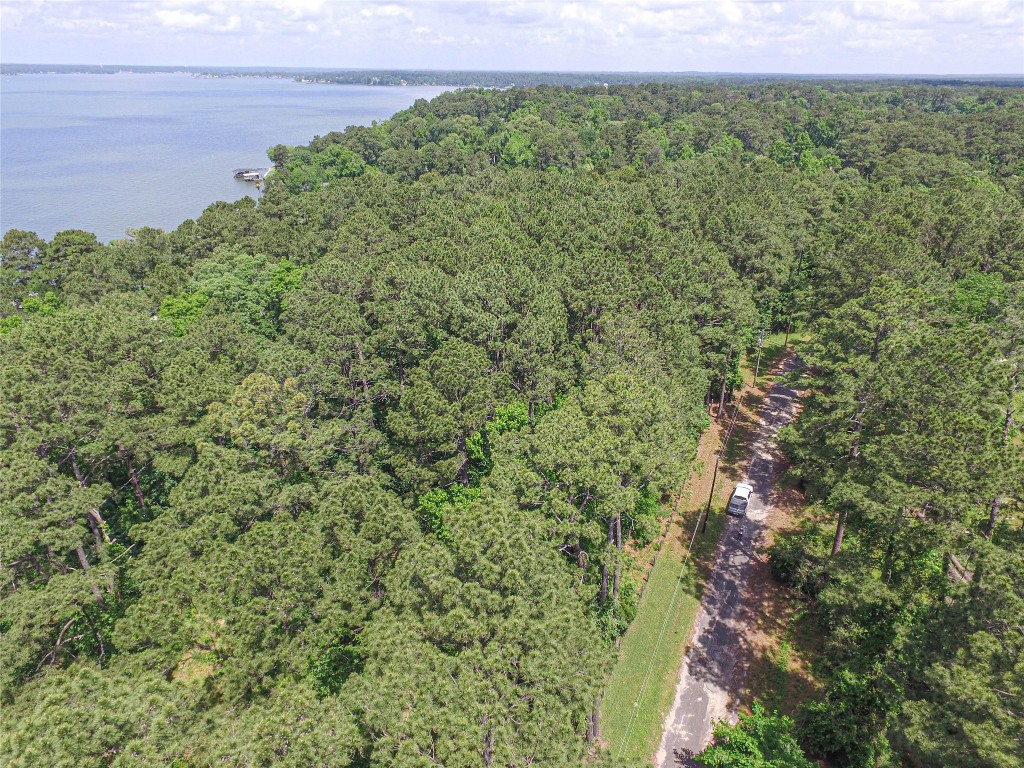 Tbd Grand Pne Loop Livingston, TX 77351 - Photo 2 of 9 a view of a field with an outdoor space