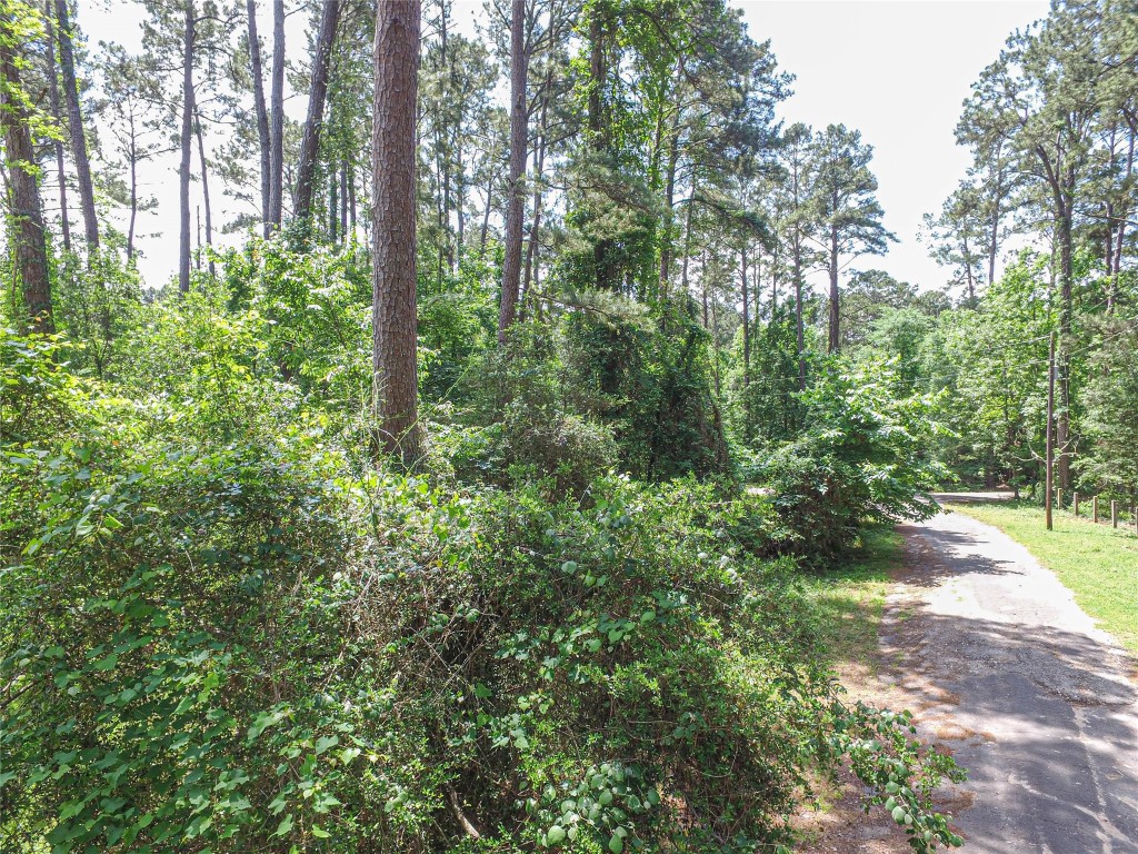 Tbd Grand Pne Loop Livingston, TX 77351 - Photo 3 of 9 a view of a lush green forest