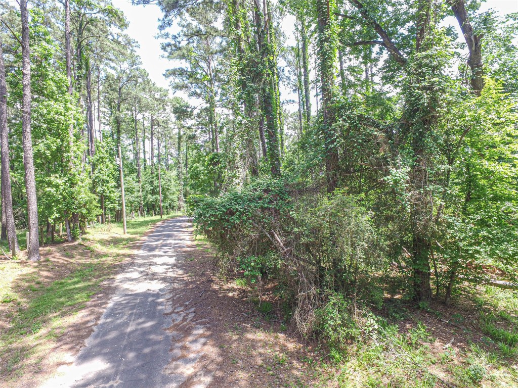 Tbd Grand Pne Loop Livingston, TX 77351 - Photo 4 of 9 a view of a yard with large trees