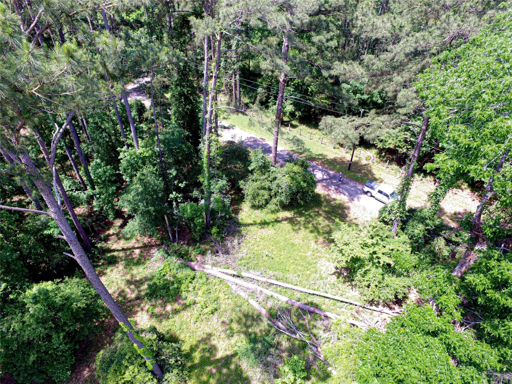 Tbd Grand Pne Loop Livingston, TX 77351 - Photo 5 of 9 a view of a garden with plants