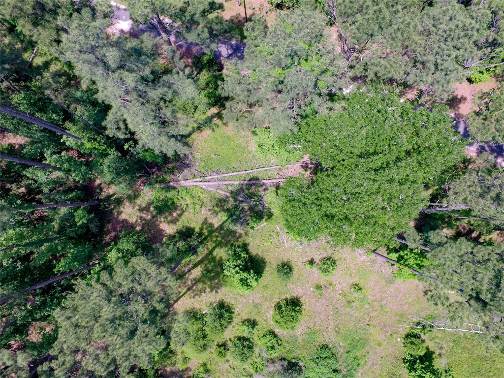 Tbd Grand Pne Loop Livingston, TX 77351 - Photo 6 of 9 a view of a forest with a tree