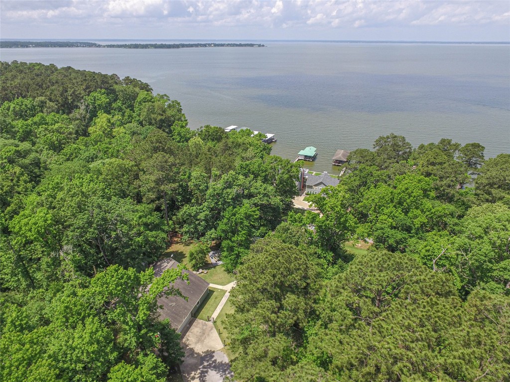 Tbd Grand Pne Loop Livingston, TX 77351 - Photo 7 of 9