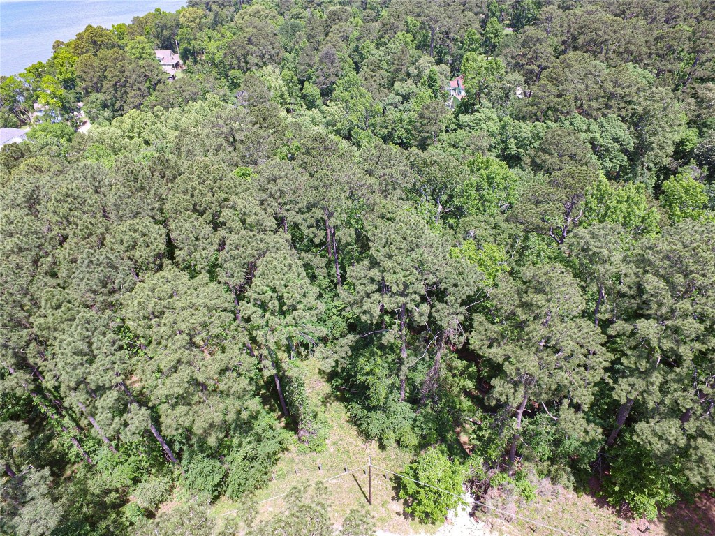 Tbd Grand Pne Loop Livingston, TX 77351 - Photo 8 of 9