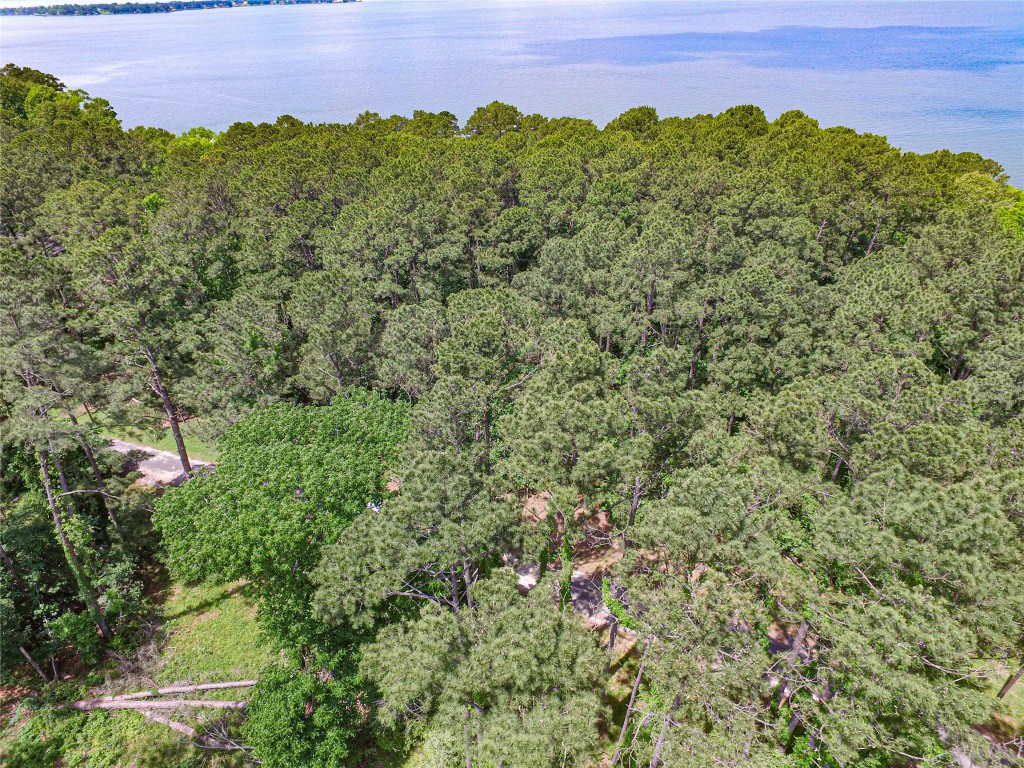 Tbd Grand Pne Loop Livingston, TX 77351 - Photo 9 of 9 a view of a lush green field