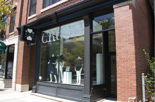 2138 West Roscoe Street Chicago, IL 60618 - Photo 7 of 7 a view of potted plant in front of a building