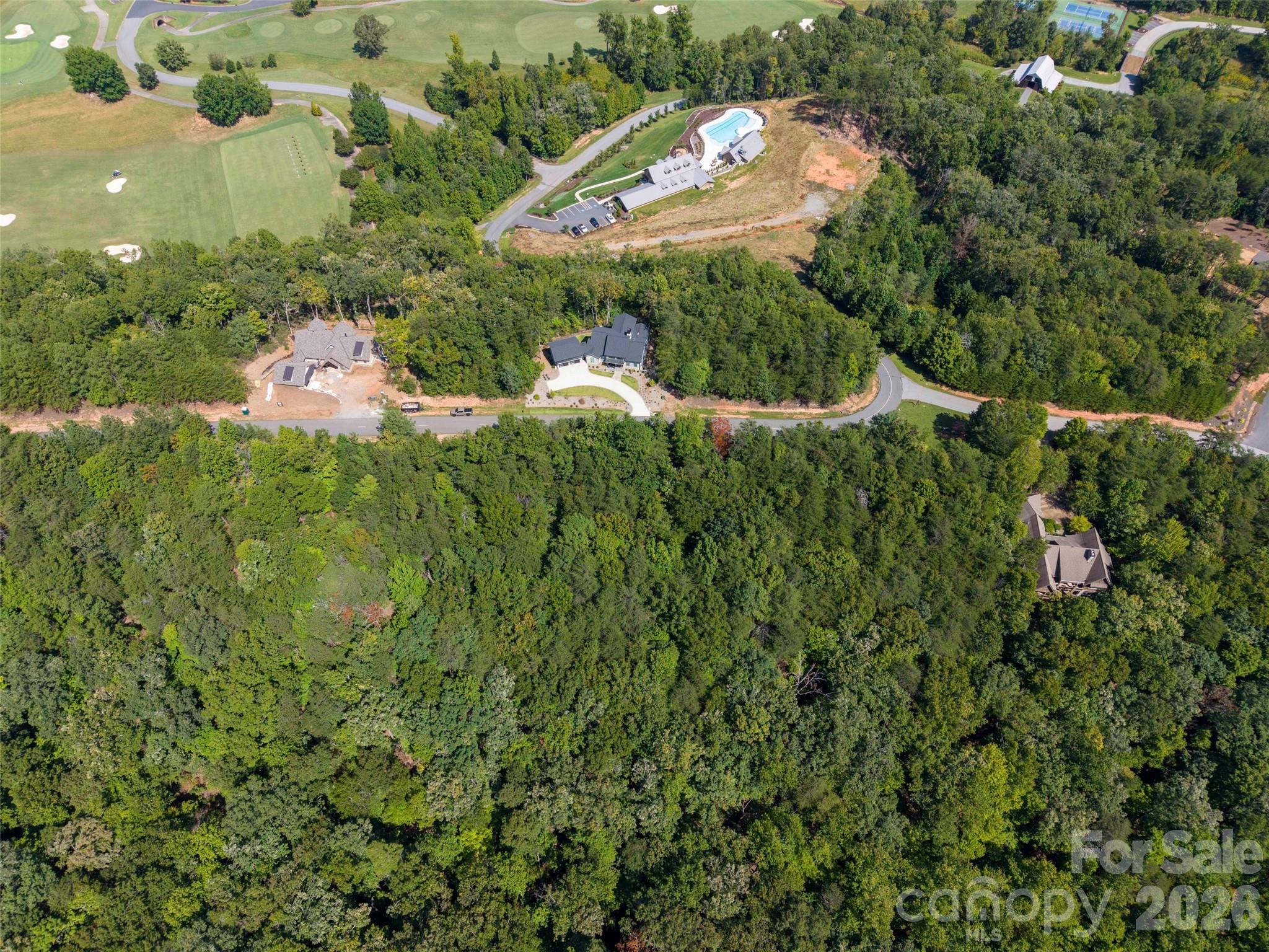 Lot 2006 Deep Gap Farm Rd Mill Spring West Mill Spring, NC 28756 - Photo 8 of 21 Gallery Image 8