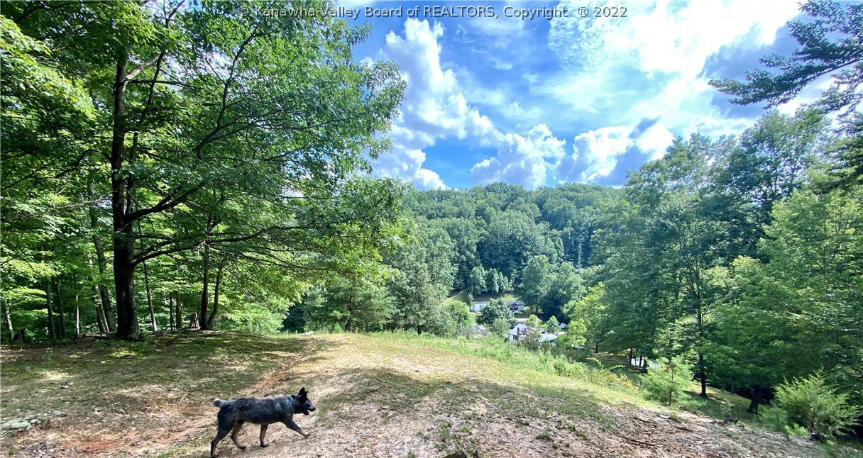 160 Bush Hollow Road Ripley, WV 25271 - Photo 39 of 46 Gallery Image 39