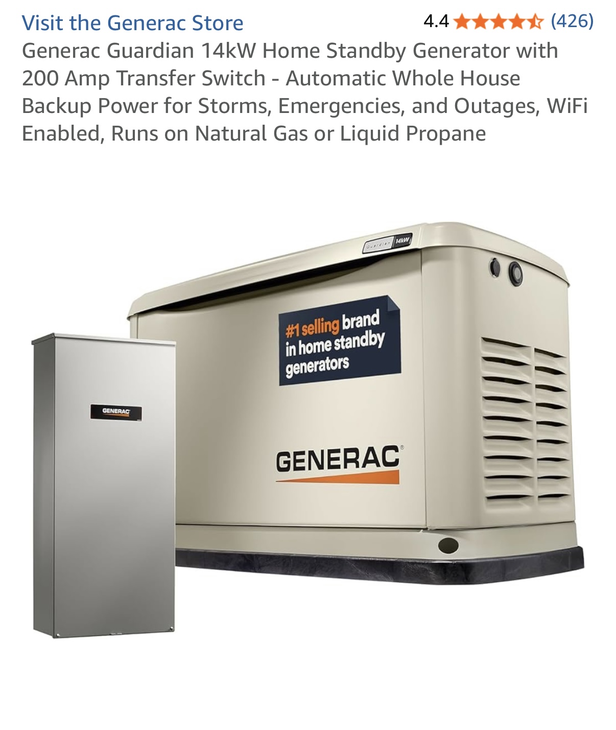 305 Rusk Bluff Avenue Leander, TX 78641 - Photo 18 of 34 Whole house generator for home essential power backup options.
