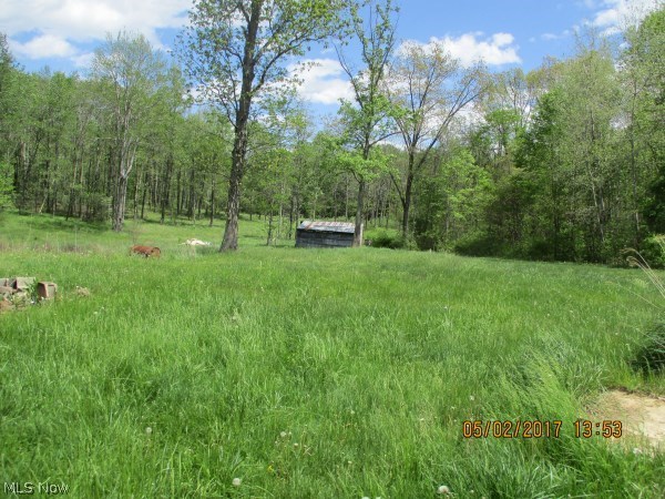 53326 Fry Road Pleasant City, OH 43772 - Photo 2 of 20 Gallery Image 2