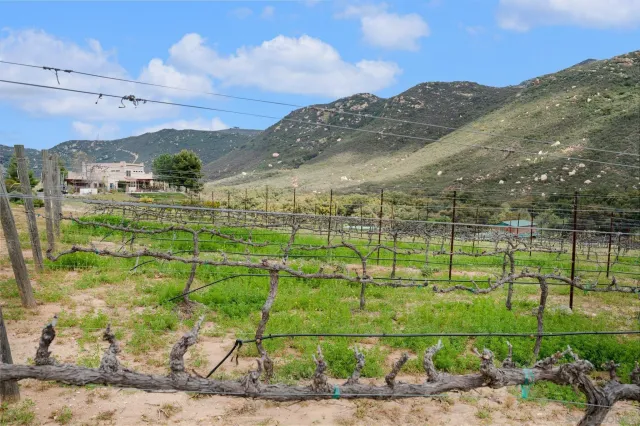 $3,500,000 | 17287 Oak Hollow Road, Ramona, CA 92065