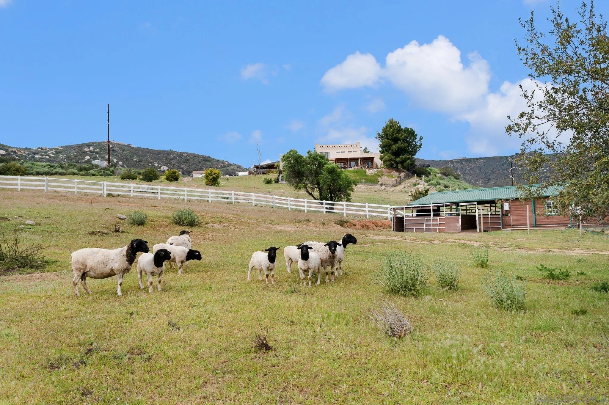 17287 Oak Hollow Road Ramona, CA 92065 - Photo 51 of 71