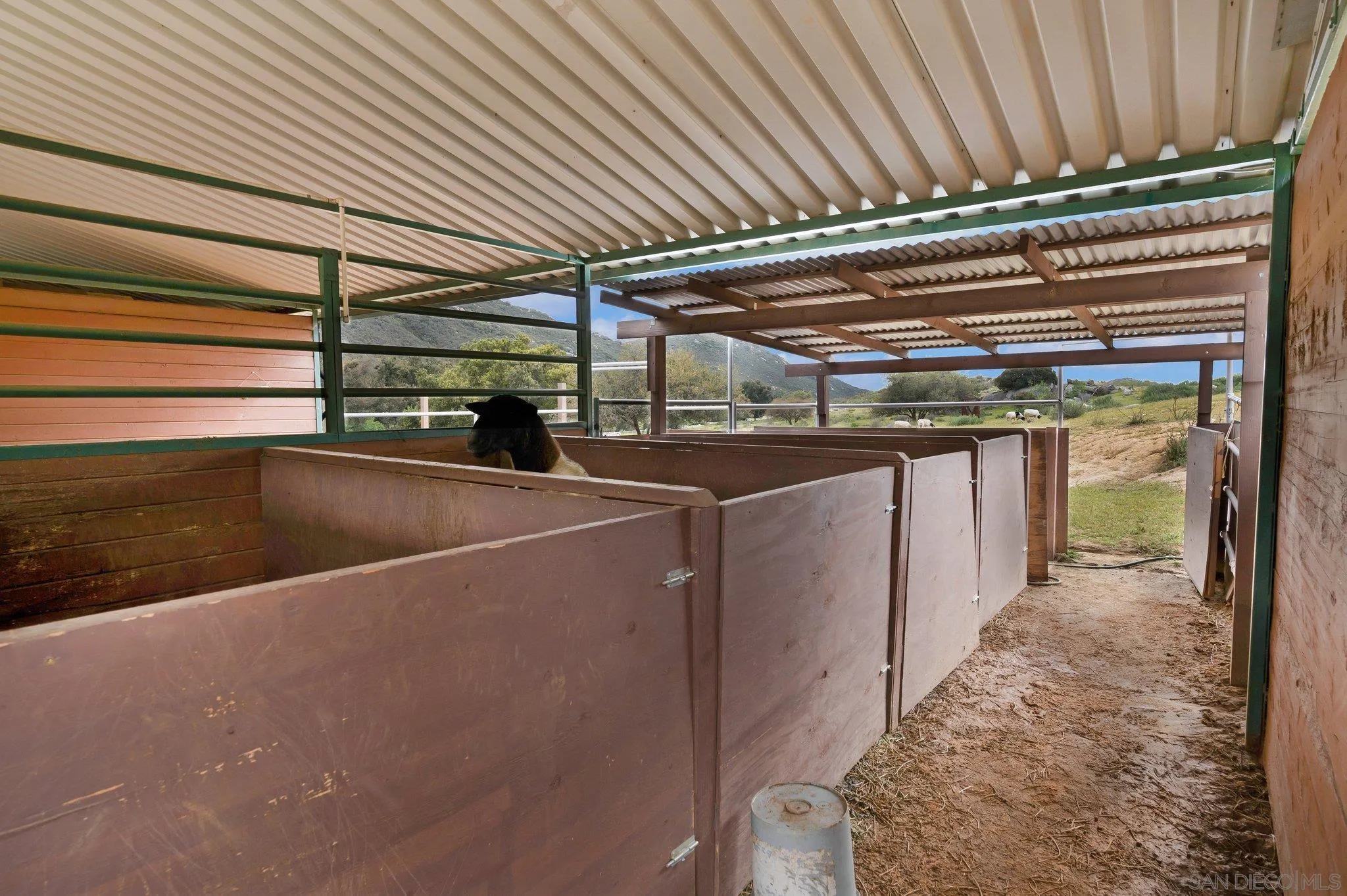 17287 Oak Hollow Road Ramona, CA 92065 - Photo 55 of 71