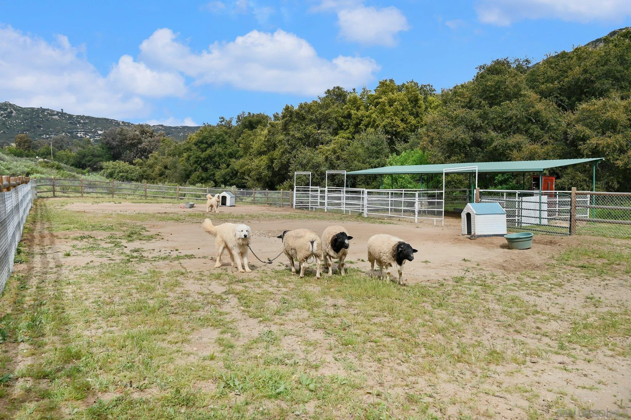 17287 Oak Hollow Road Ramona, CA 92065 - Photo 56 of 71
