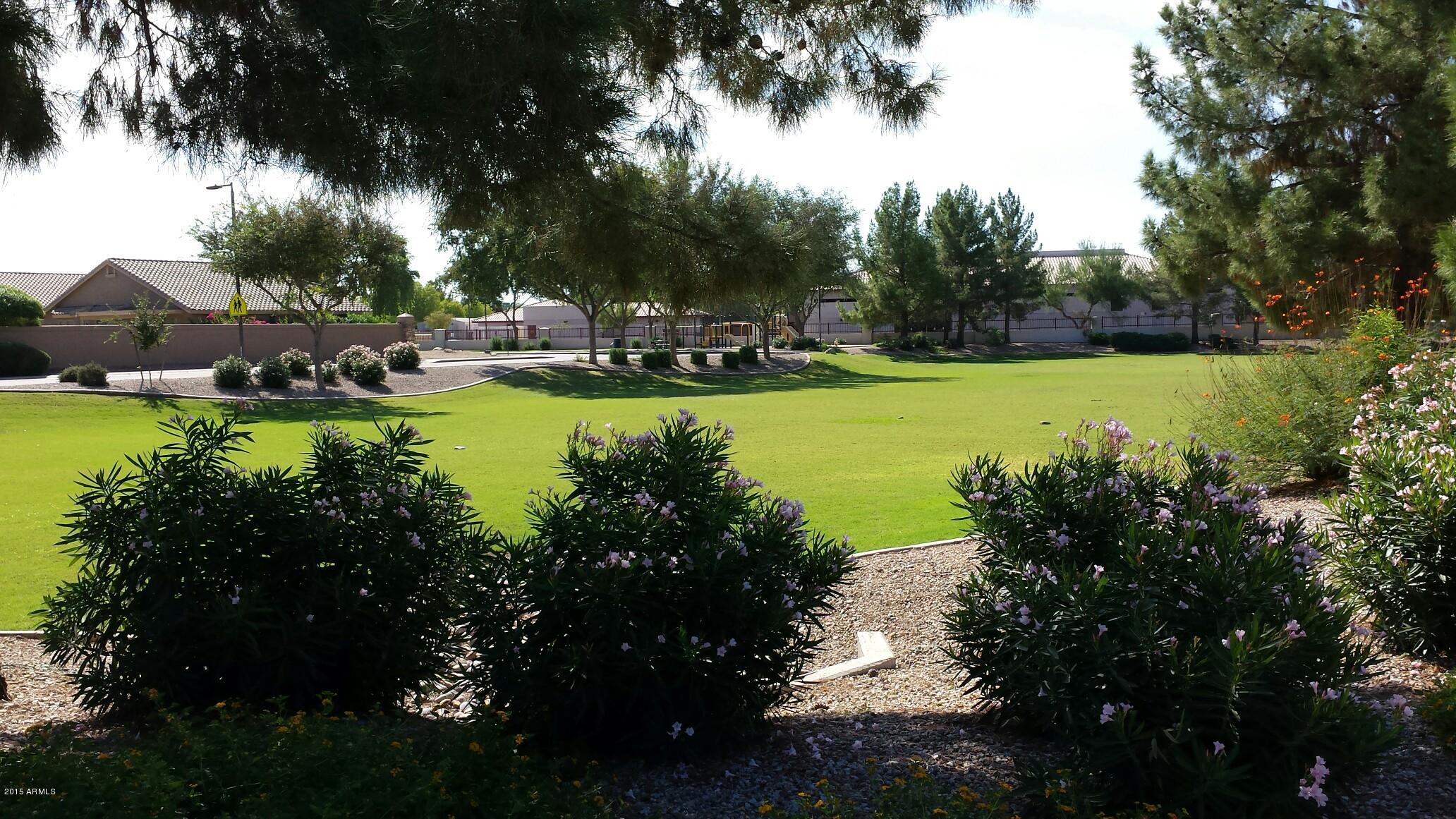 2243 East Victor Road Gilbert, AZ 85296 - Photo 15 of 34 COMMUNITY PIC