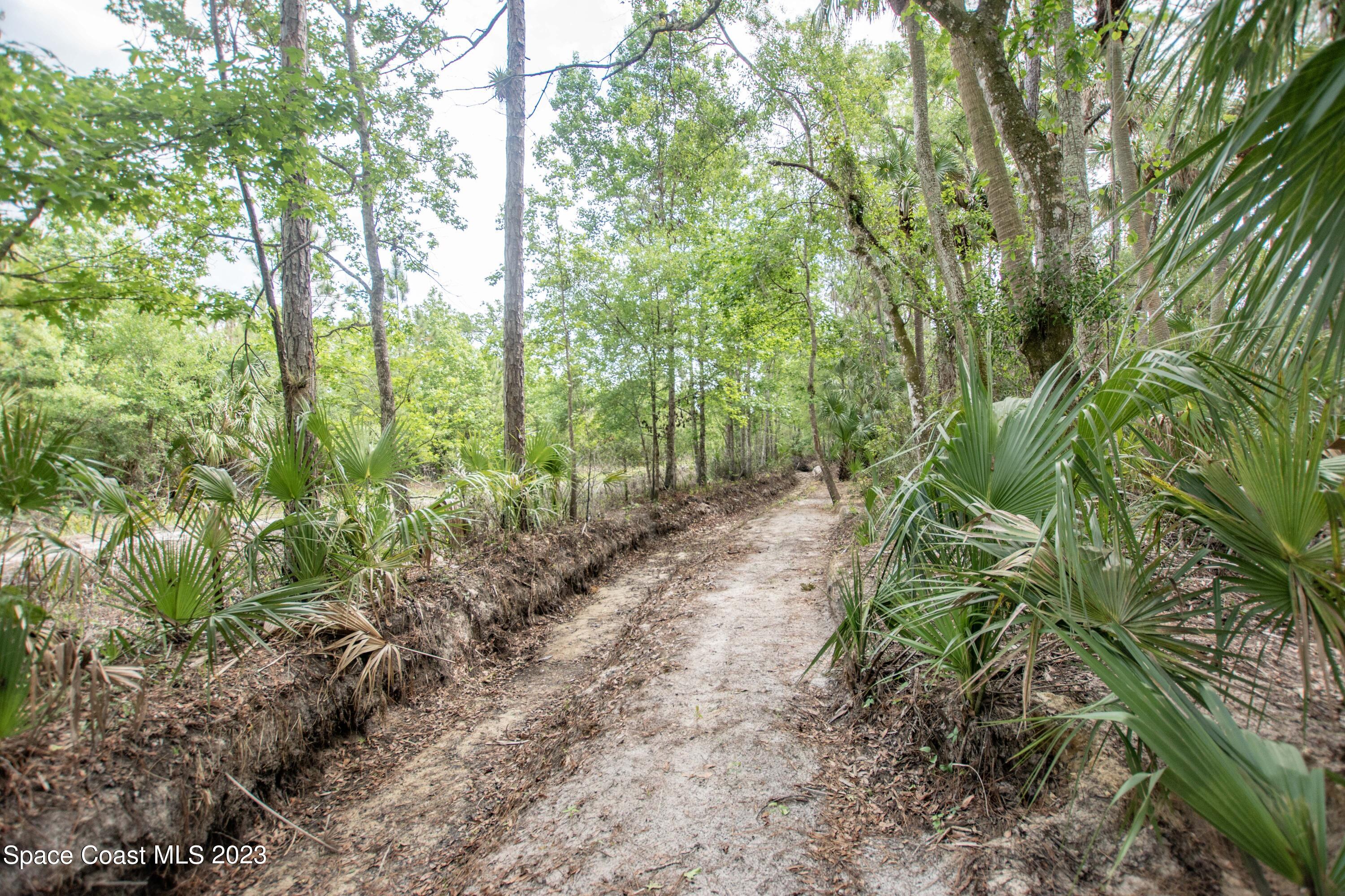 1400 Gopher Slough Road Mims, FL 32754 - Photo 23 of 43 DSC_1200