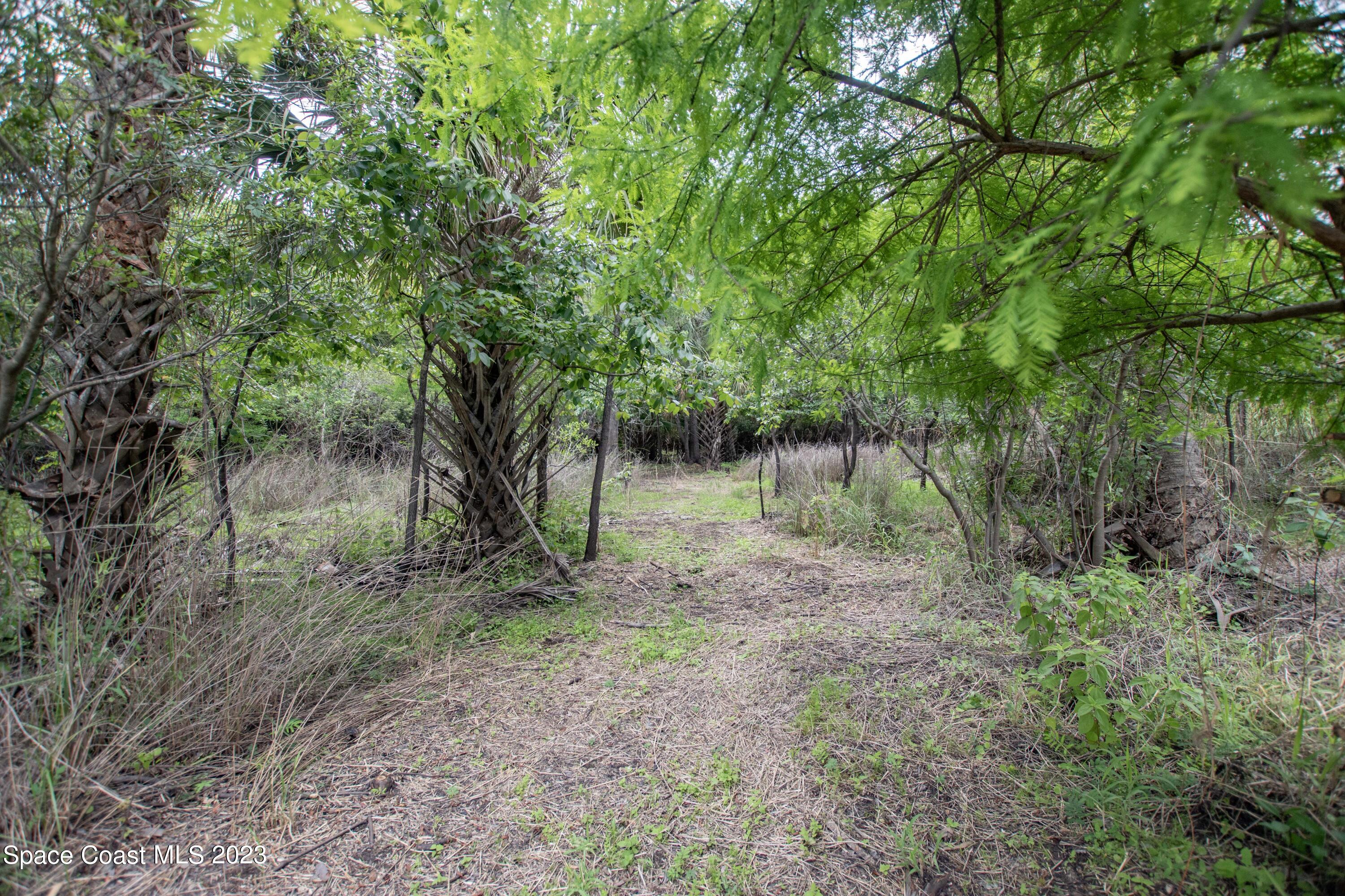 1400 Gopher Slough Road Mims, FL 32754 - Photo 35 of 43 DSC_1212