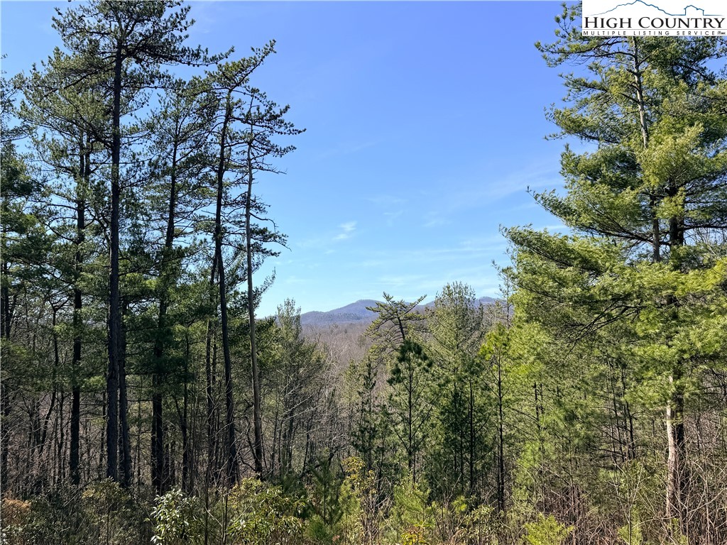 18 Hidden Creek Road Deep Gap, NC 28618 - Photo 1 of 26