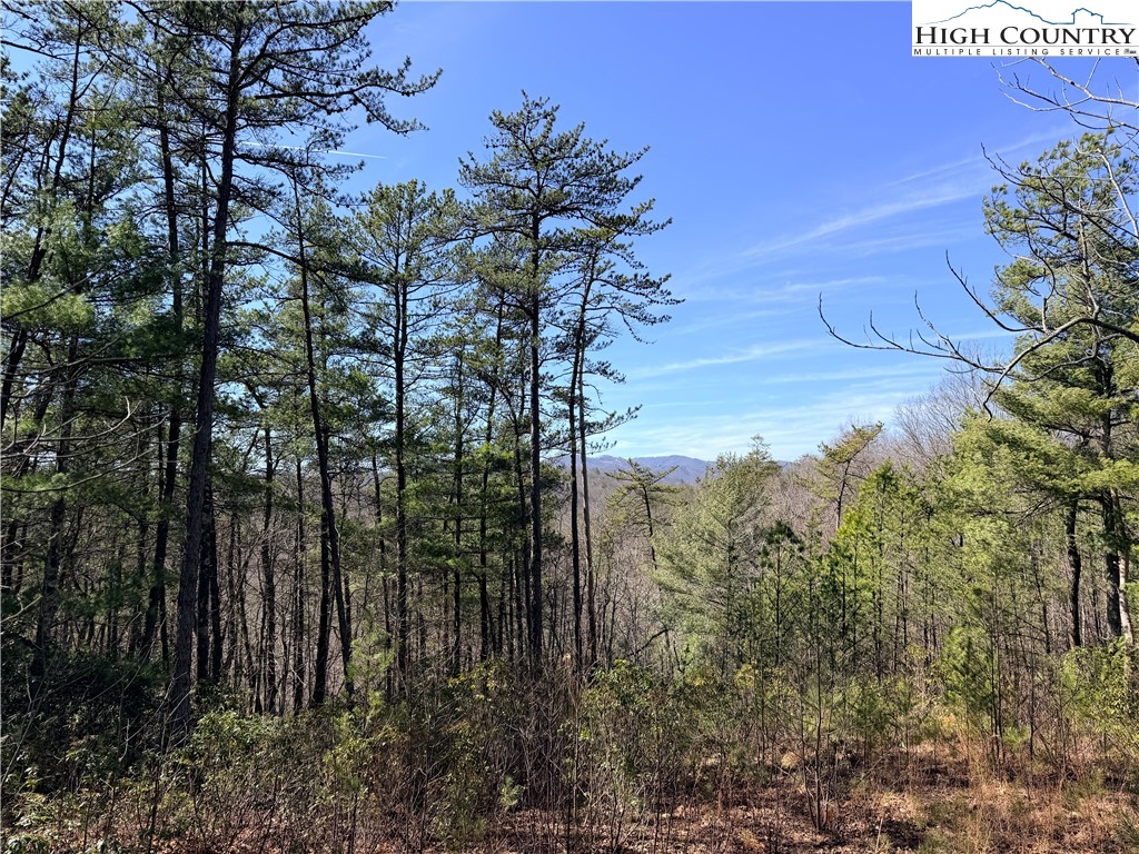 18 Hidden Creek Road Deep Gap, NC 28618 - Photo 13 of 26