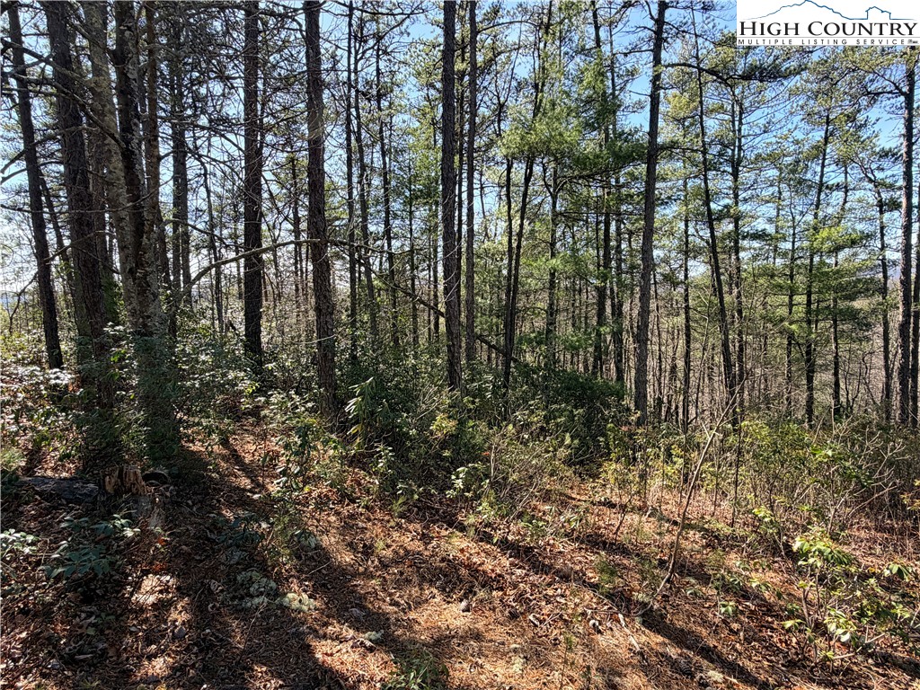 18 Hidden Creek Road Deep Gap, NC 28618 - Photo 14 of 25 Gallery Image 14