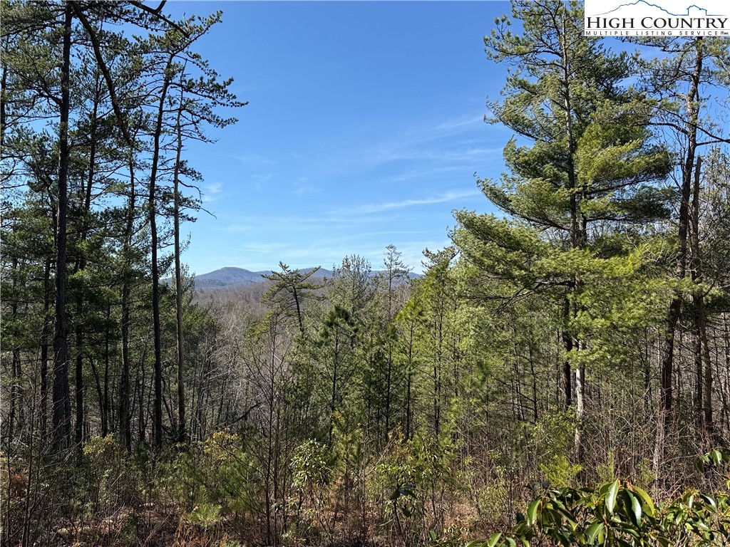 18 Hidden Creek Road Deep Gap, NC 28618 - Photo 14 of 26