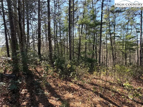$149,900 | 18 Hidden Creek Road, Deep Gap, NC 28618