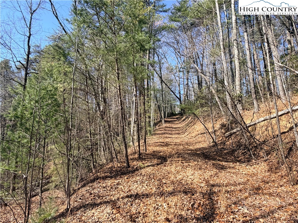18 Hidden Creek Road Deep Gap, NC 28618 - Photo 18 of 25 Gallery Image 18