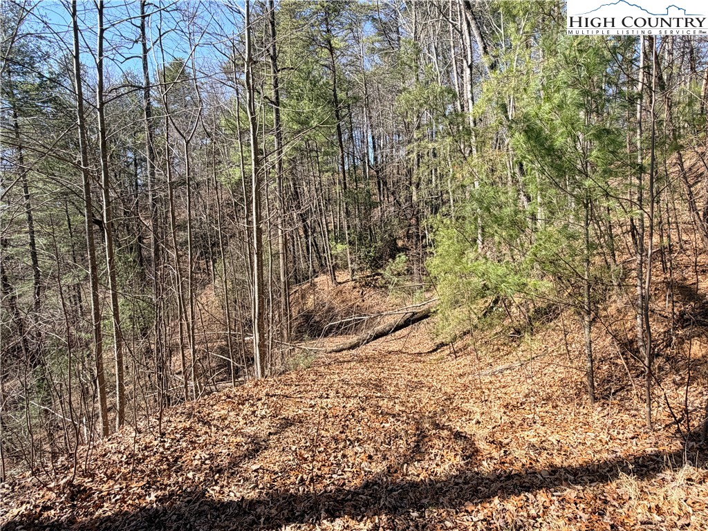 18 Hidden Creek Road Deep Gap, NC 28618 - Photo 20 of 25 Gallery Image 20