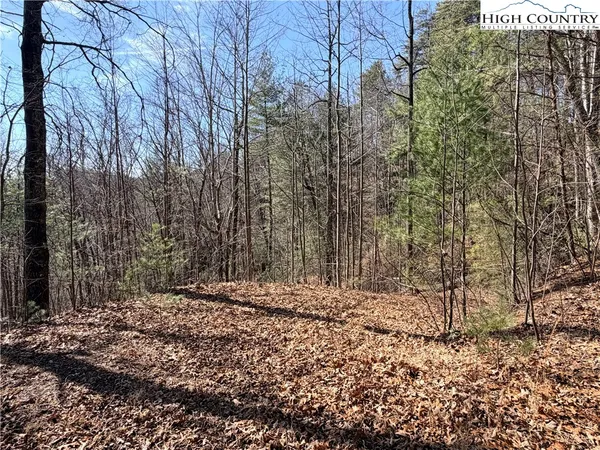 $149,900 | 18 Hidden Creek Road, Deep Gap, NC 28618