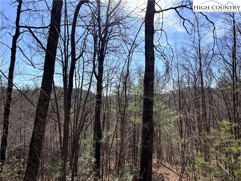 18 Hidden Creek Road Deep Gap, NC 28618 - Photo 21 of 25 Gallery Image 21