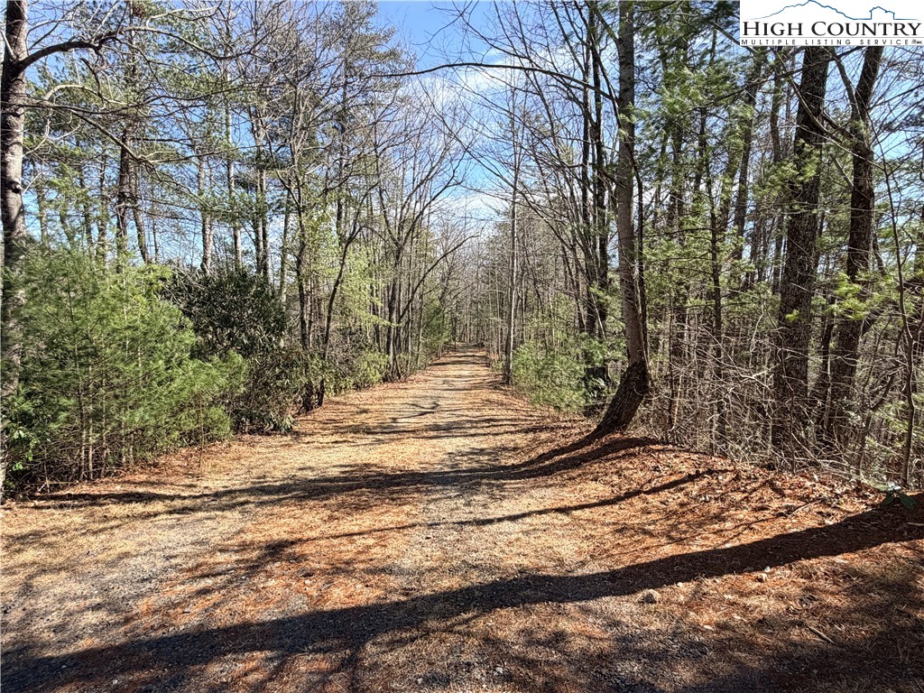 18 Hidden Creek Road Deep Gap, NC 28618 - Photo 5 of 25 Gallery Image 5