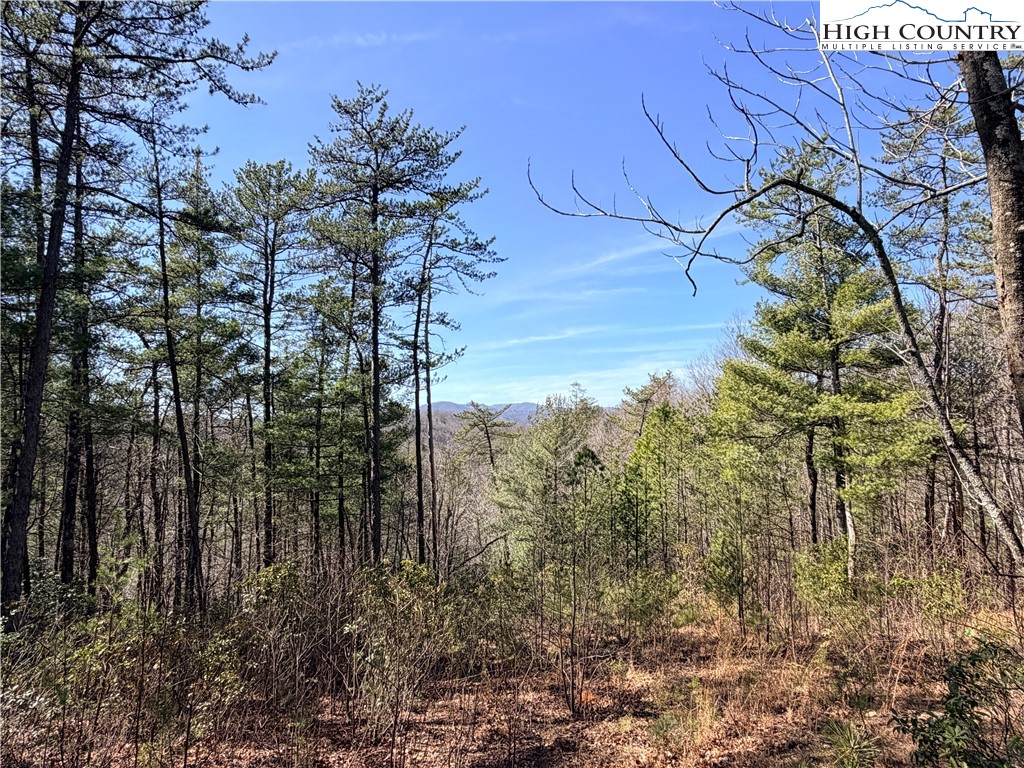 18 Hidden Creek Road Deep Gap, NC 28618 - Photo 9 of 25 Gallery Image 9