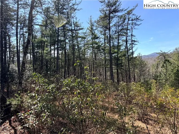 $149,900 | 18 Hidden Creek Road, Deep Gap, NC 28618