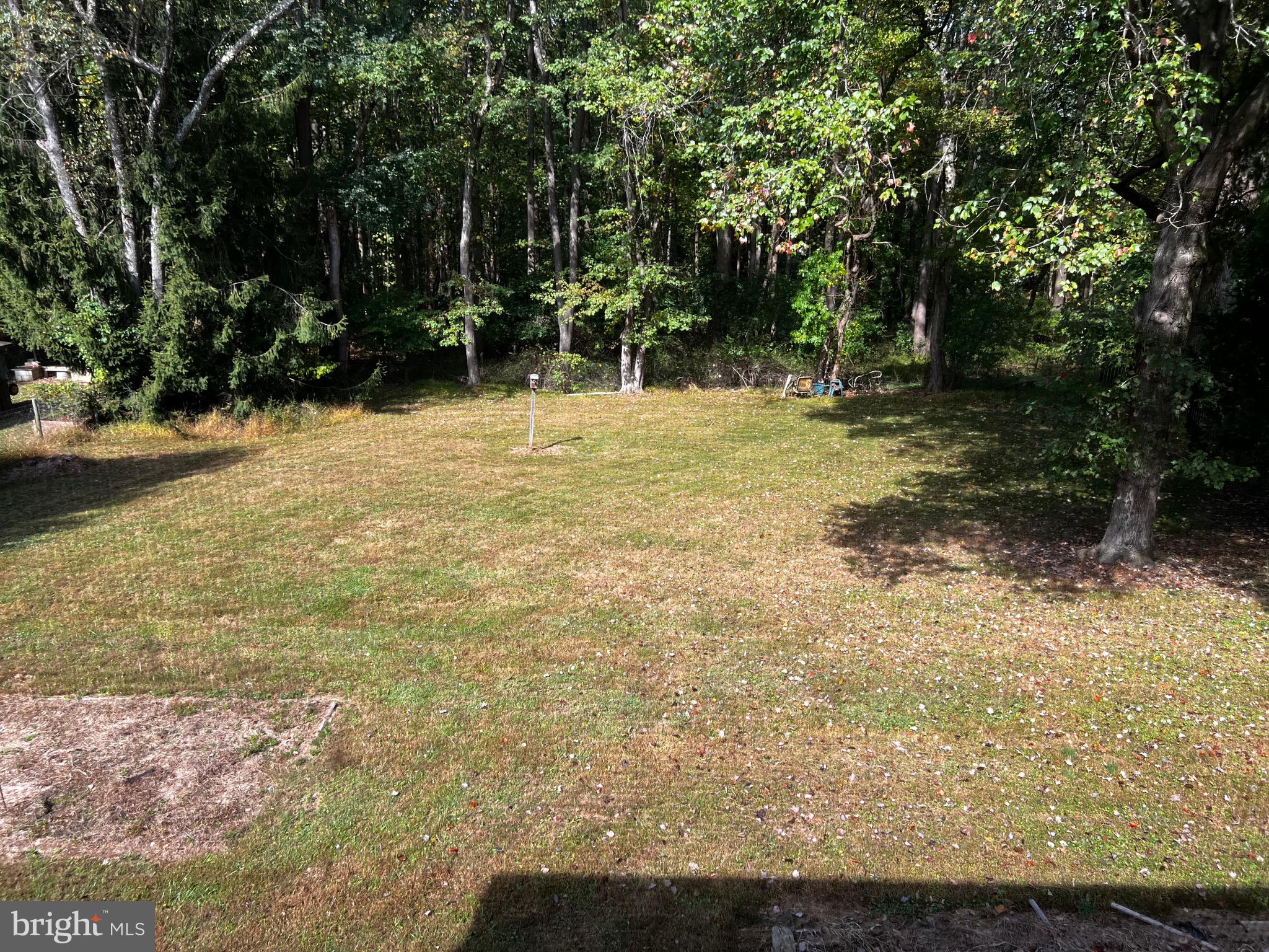 355 Wedgewood Road Newark, DE 19711 - Photo 4 of 20 a backyard of a house with lots of green space