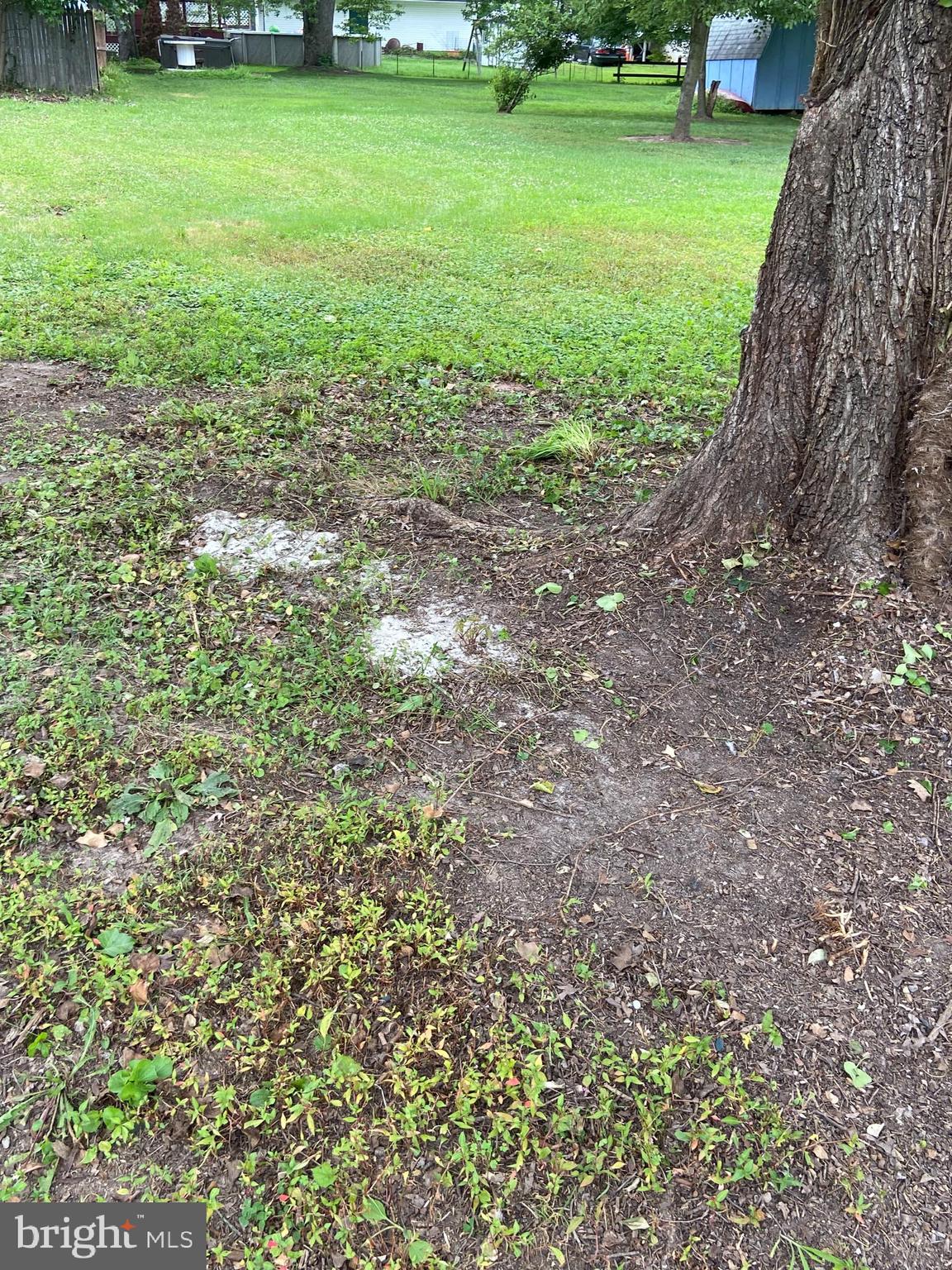11306 Beach Road White Marsh, MD 21162 - Photo 22 of 35 Back Yard