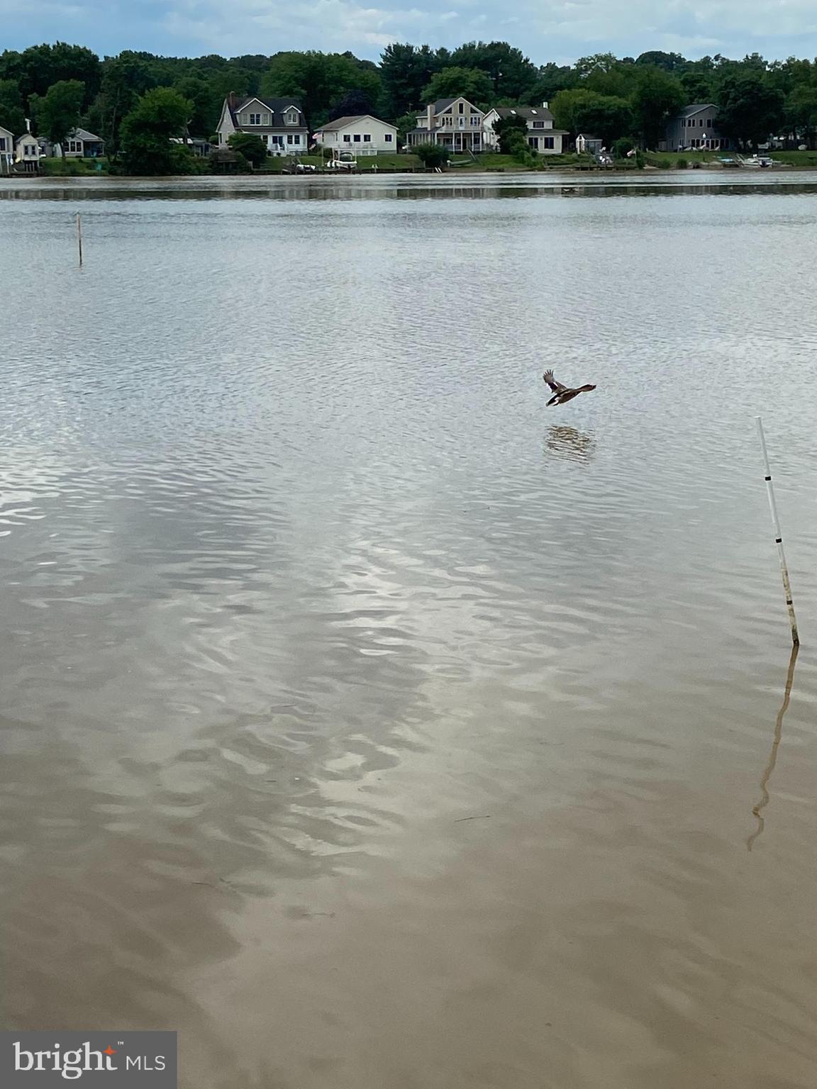 11306 Beach Road White Marsh, MD 21162 - Photo 26 of 35 Views from Boat Ramp 1